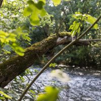 Beautiful nature of Cetina river Beautiful nature of Cetina river