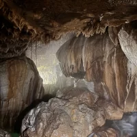 Dripstone near cave entrance