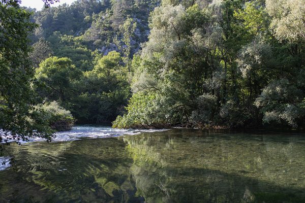 Pristine waters flowing through lush forest and towering mountains along the Cetina River in Croatia. Clear river water surrounded by mountains and forest near Cetina River